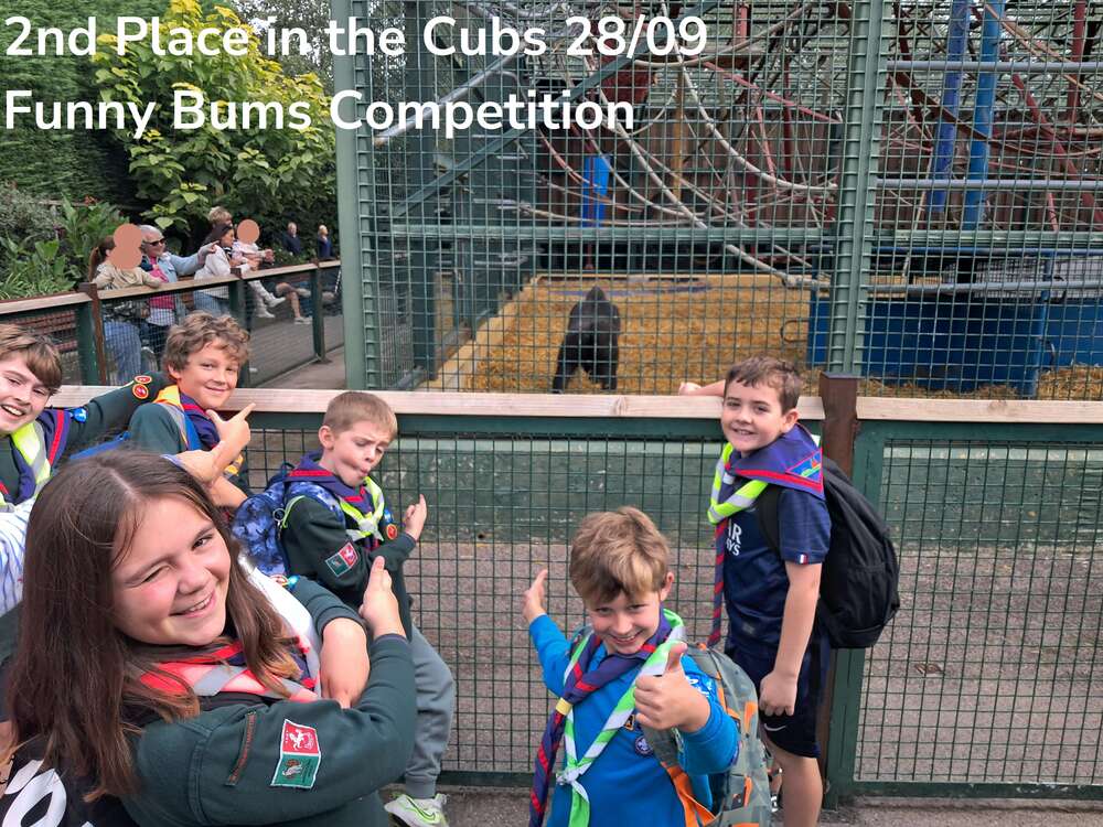 Beaver and Cubs trip to Howletts